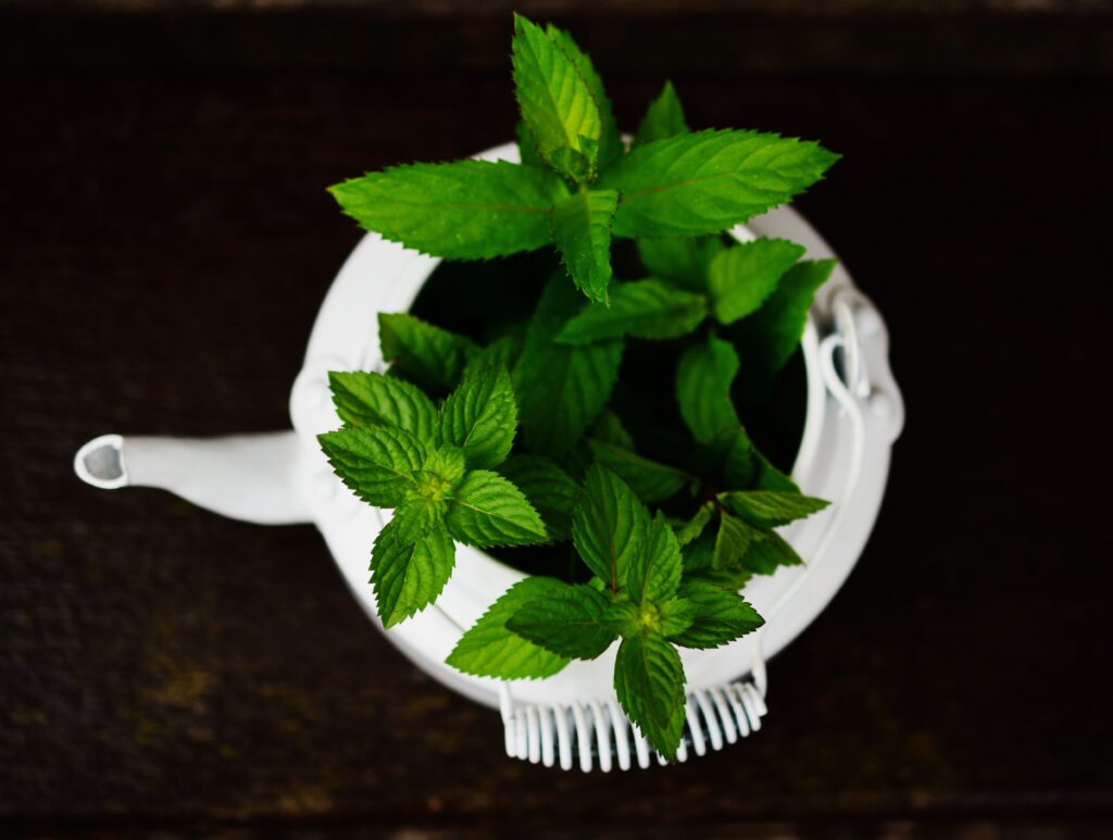 Herbal Supplement Guide | Healthier Me Today
