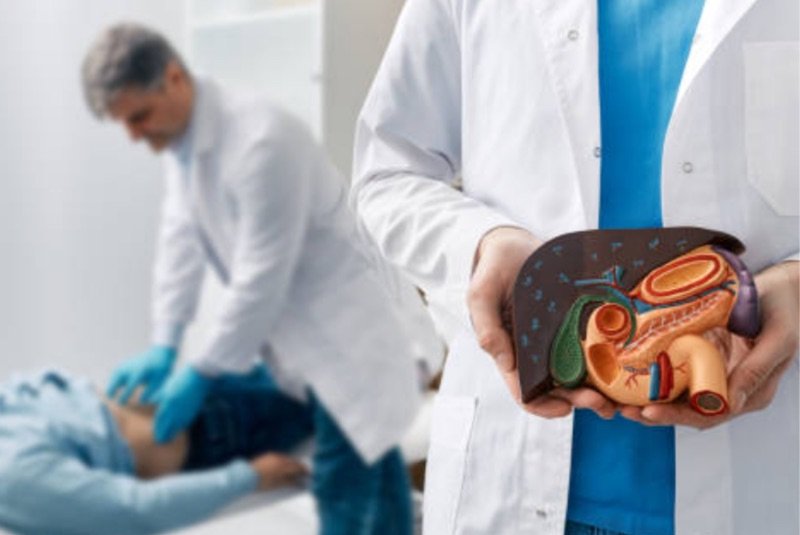doctor holding a liver demonstration, other doctor assessing patient // Healthier Me Today
