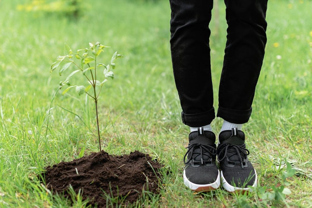 how to stop hair loss and regrow hair naturally, Person Standing Near a Plant // Healthier Me Today