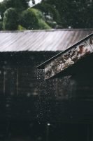 Selective Focus Photography of Corrugated Metal Sheet of House during Rainy Daytime // Healthier Me Today