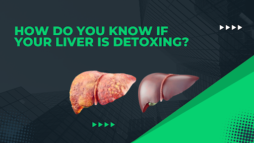 is the liver detox working or not, picture of two different livers // Healthier Me Today