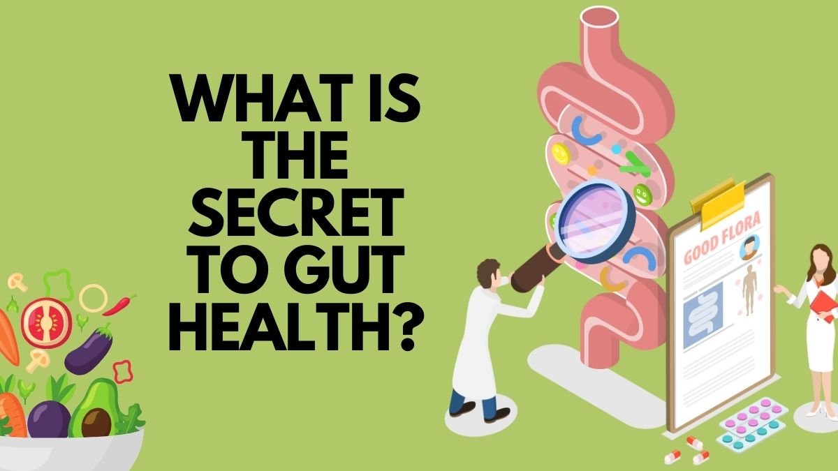 improving gut health