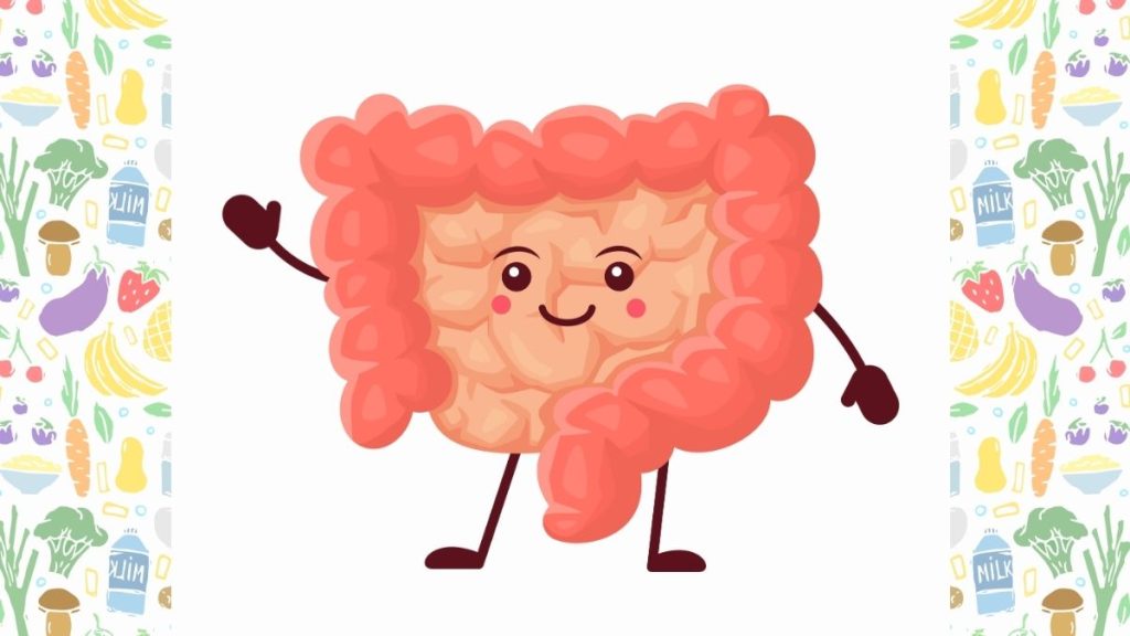 gut health