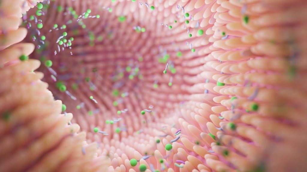 how to improve gut health