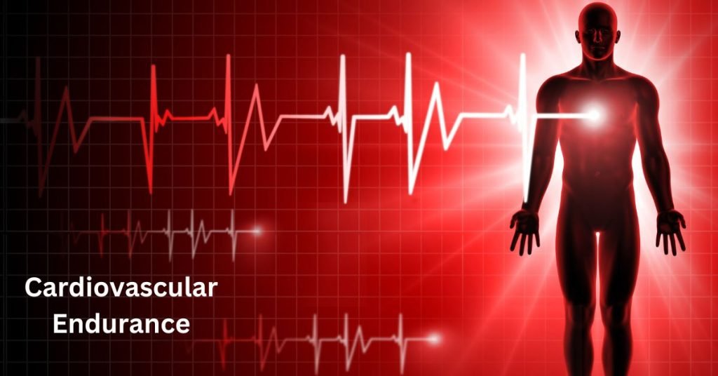 what is cardiovascular endurance
