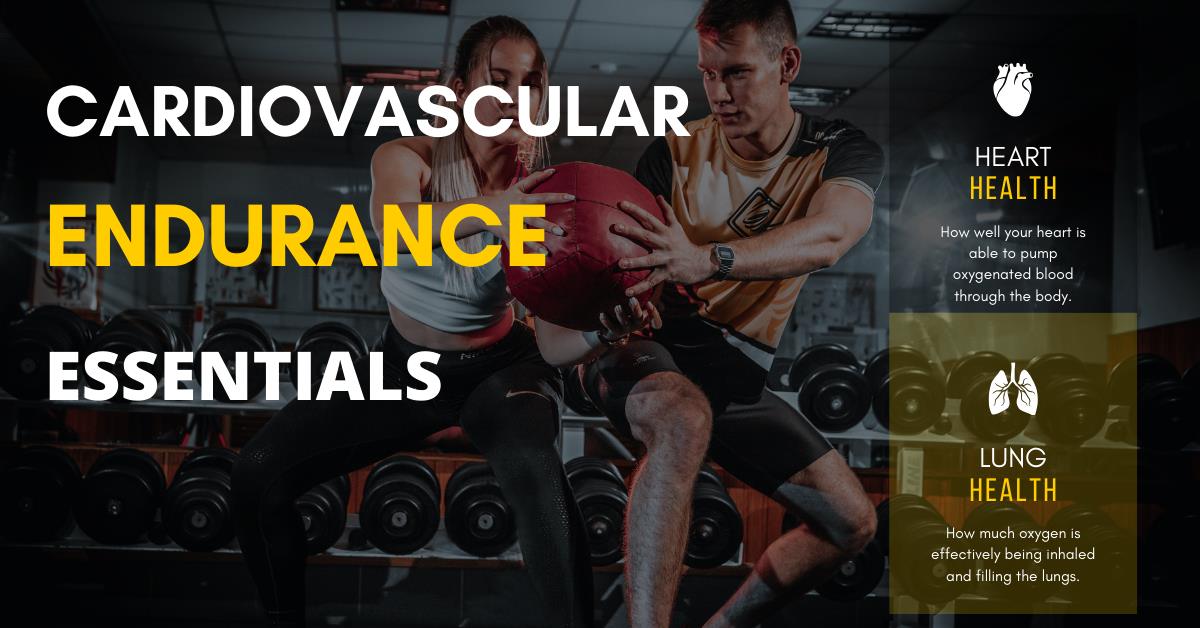 Cardiovascular Endurance