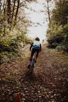 cardiovascular endurance exercises