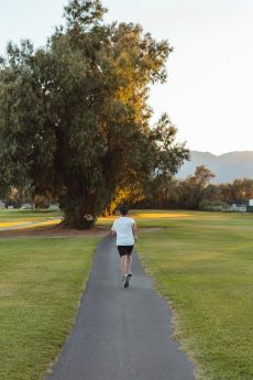 best cardio exercises