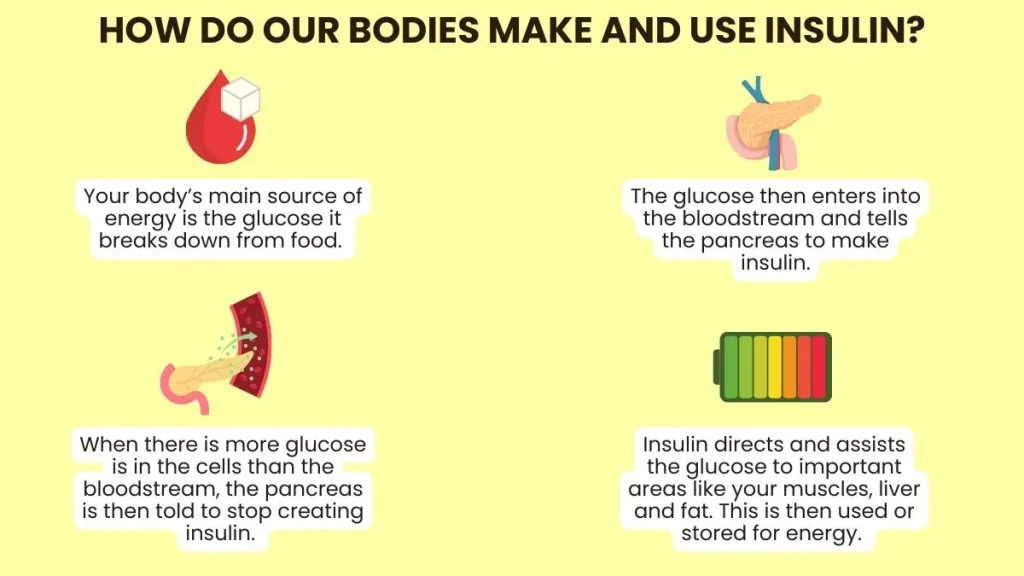 type 1 diabetes cure