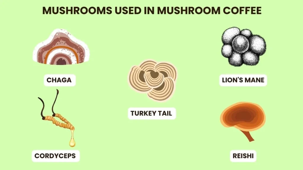 mushroom used
