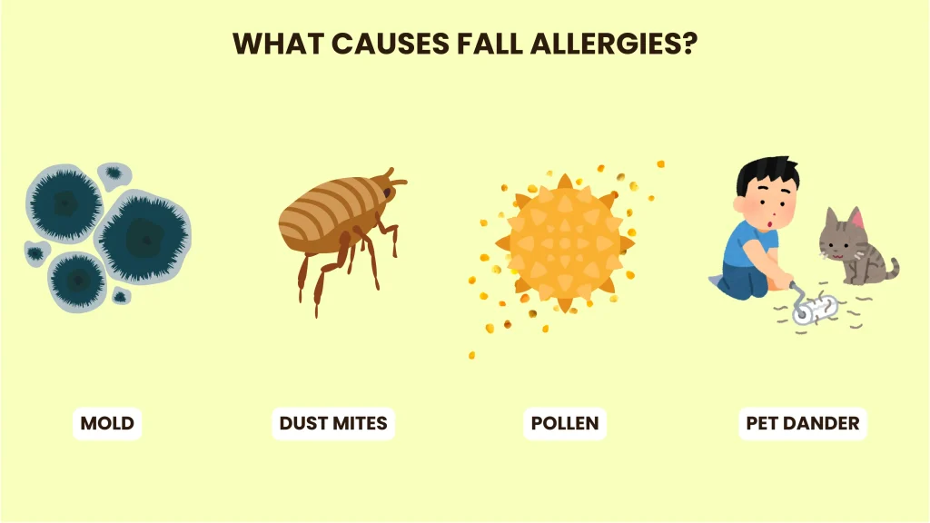 what causes fall allergies