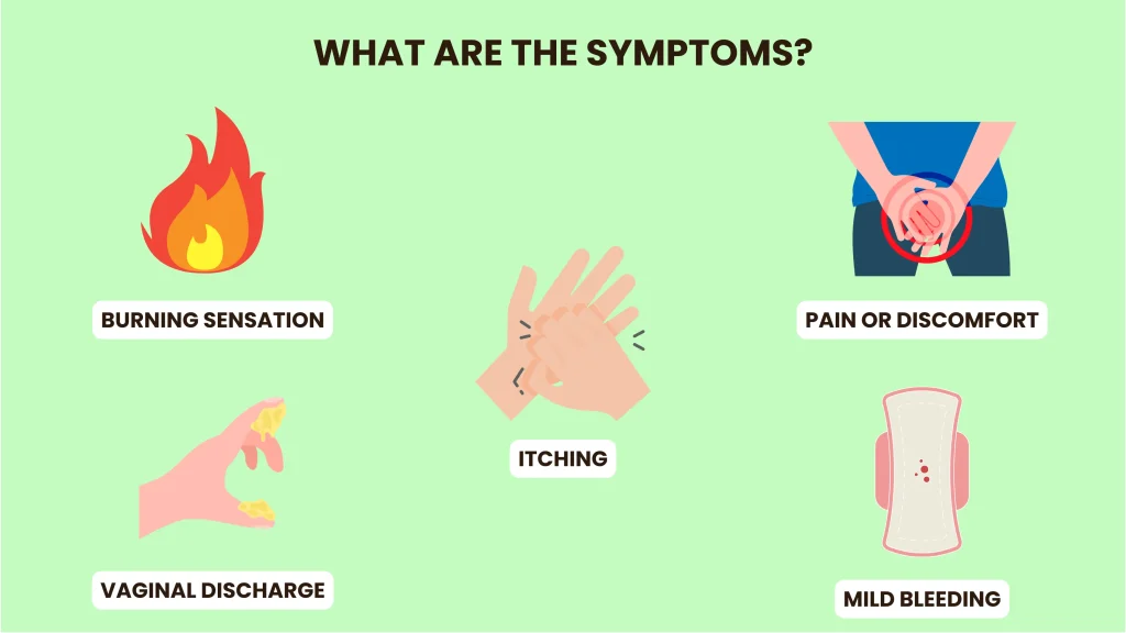 genital warts symptoms