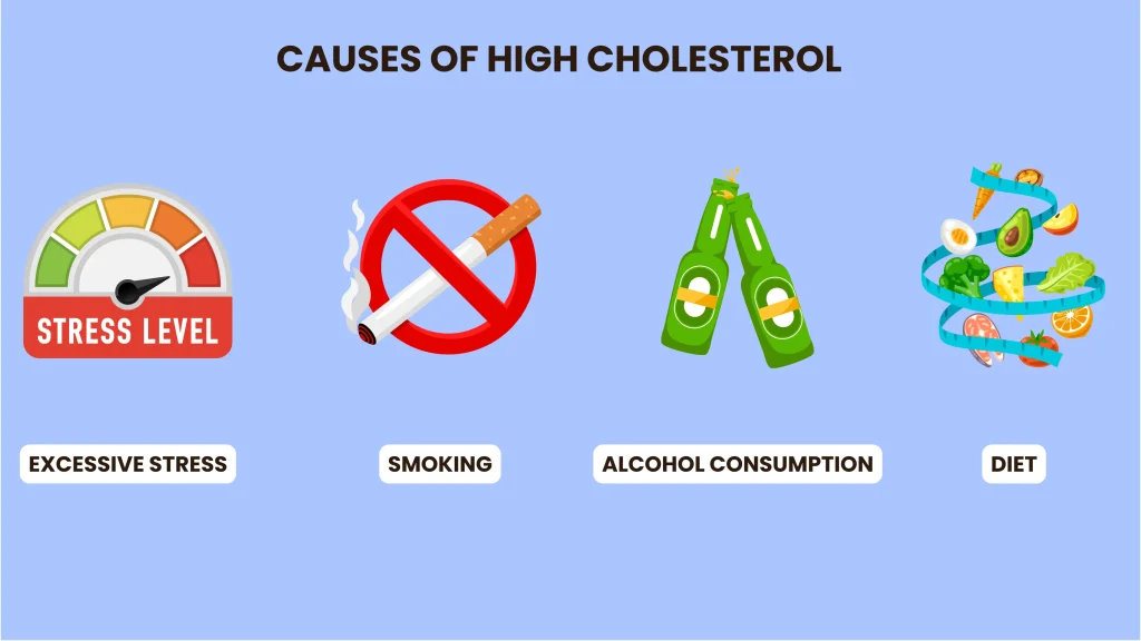 Causes of high cholesterol