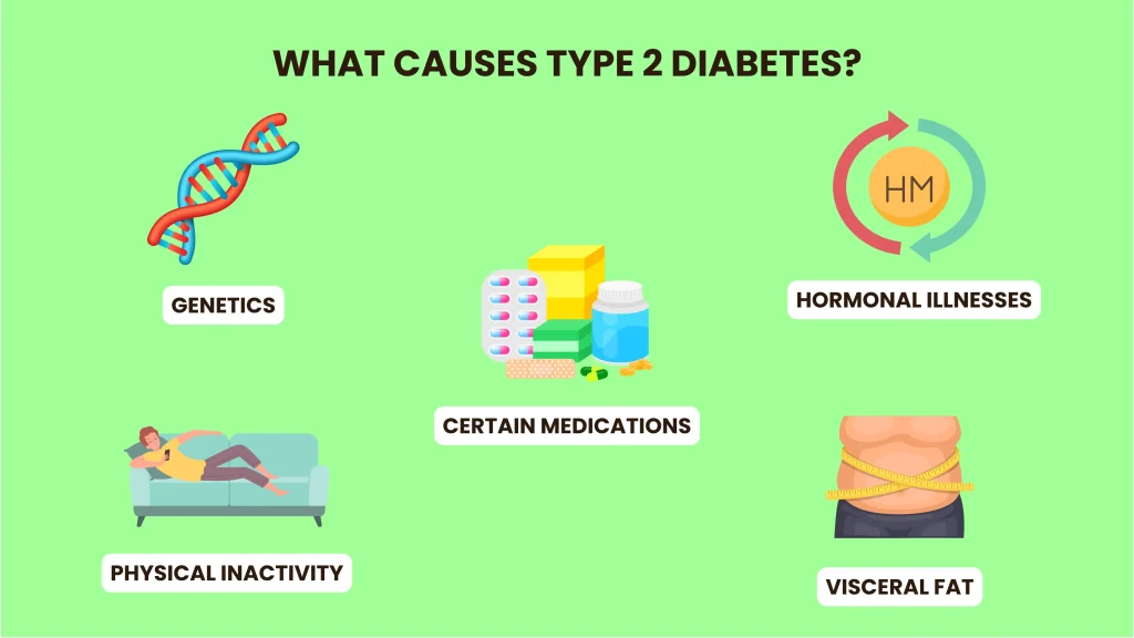 What Causes Type 2 Diabetes