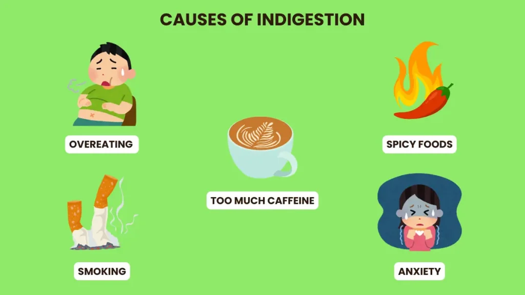 Causes of Indigestion 