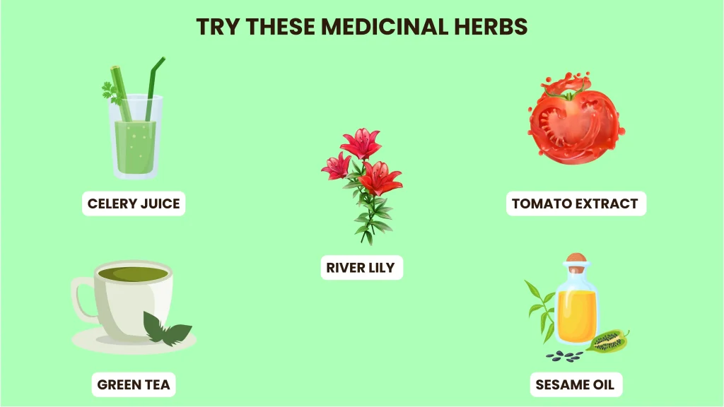 Best Diet for High Blood Pressure