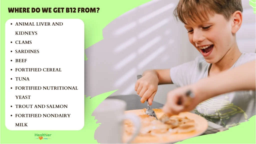 vitamin b12 foods
