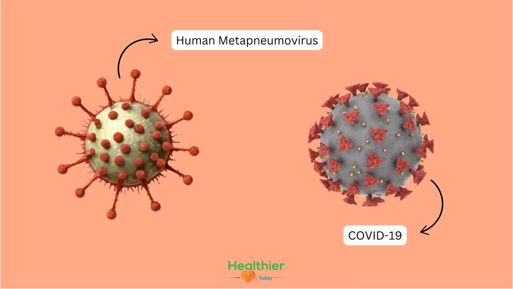 Human metapneumovirus vs COVID-19