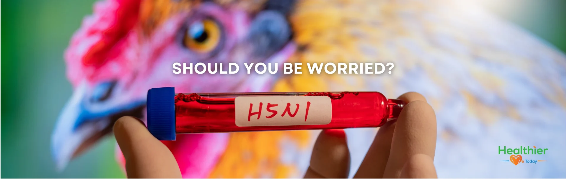 H5N1 bird flu