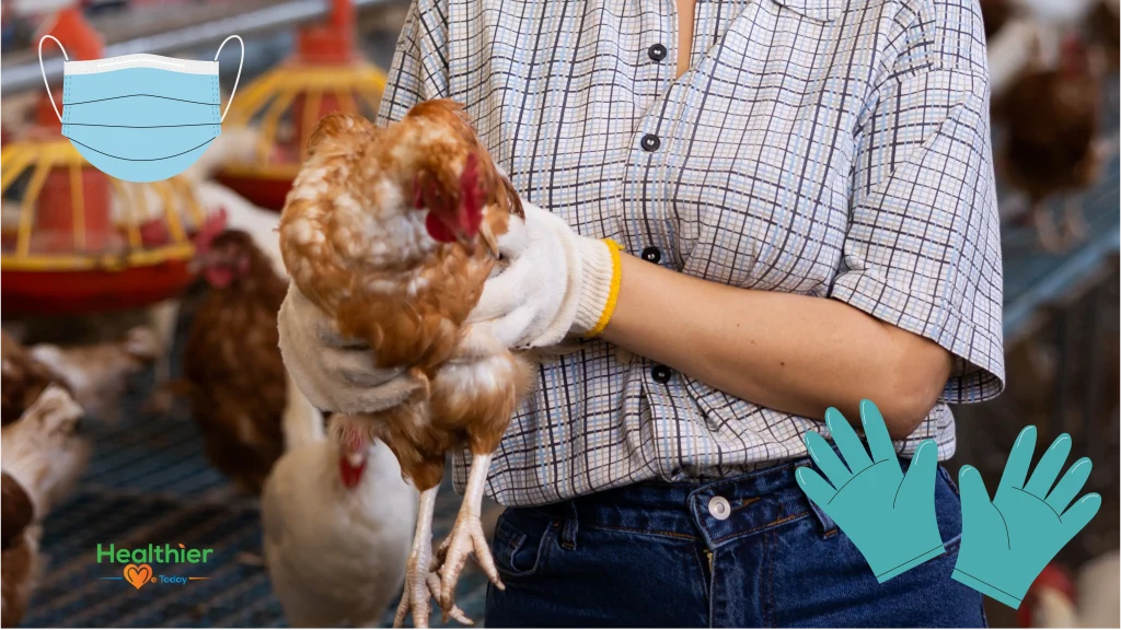 How to protect yourself from bird flu