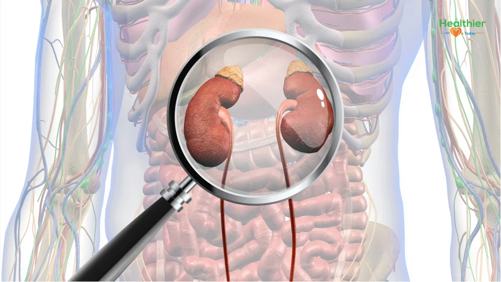 Kidney health