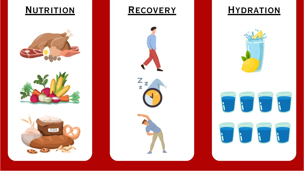 Fitness benchmarks - Nutrition and Recovery