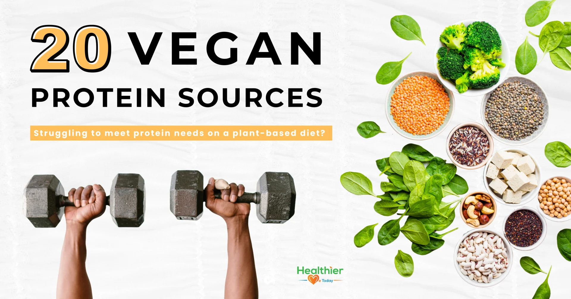 Vegan protein