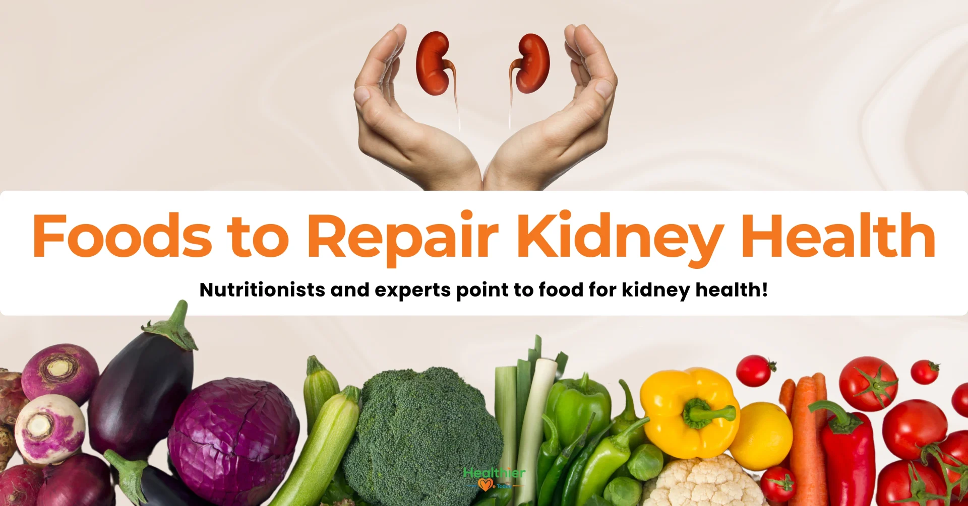 What foods help repair kidneys