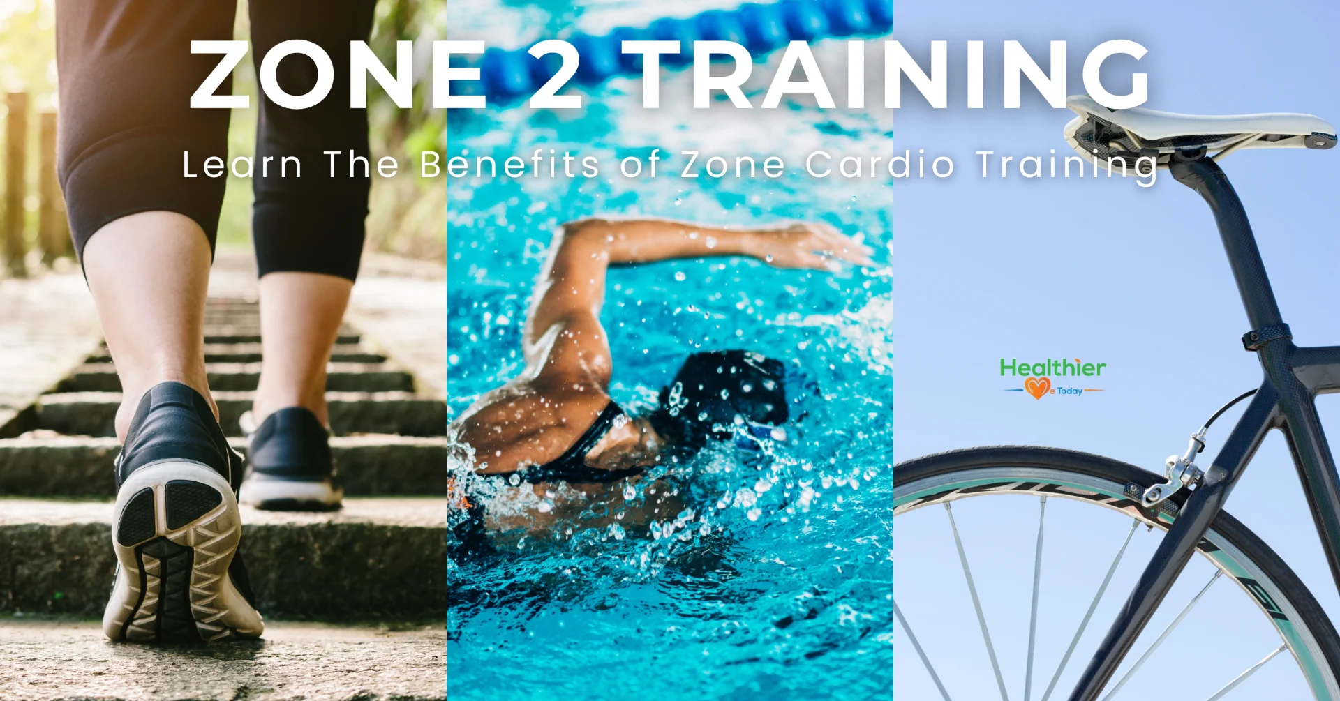 Zone 2 cardio