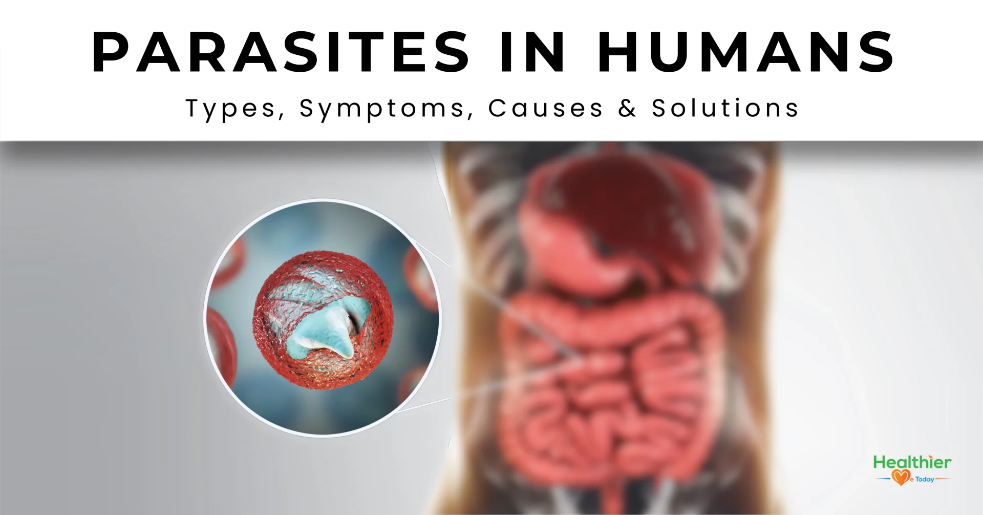 parasites in humans